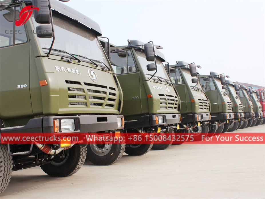 6x4 덤프트럭 샤먼