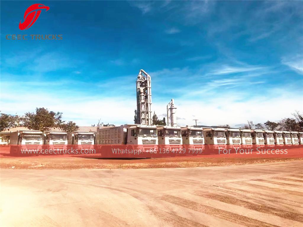 기니 - 광산 작업용 샤먼 덤프 트럭 20대